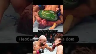 #ufc325 #mma #sport #ufc