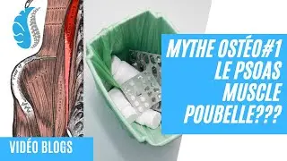 MYTHE OSTEO N°1: LE PSOAS MUSCLE POUBELLE