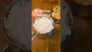 $1 Dinner Challenge #extremebudget