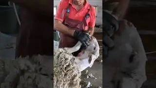 The Big Haircut: Mastery and Technique