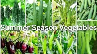 Summer crops | summer vegetables | summer vegetable farming | summer season vegetables