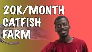 My 100,000 GHS Catfish Farm | Greg | Catfish | Ghana