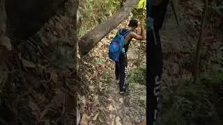 Ramnagar  Trip #waterfall #Ramnagar #viral #nature #vlog #views