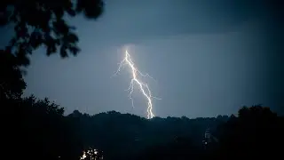 Relaxing Distant Thunder & Rain on Tree Sounds to Get Better Sleep in 5 Minutes