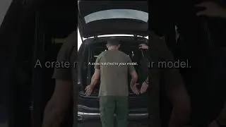 Dog & Drive Vehicle-Specific Dog Crate | 3D-Scanned, CAD-Modelled Boot Fit