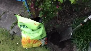 The council's garden waste collection service