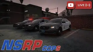Senora Valley police - NSRP Live
