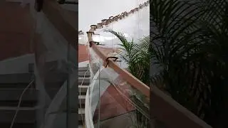 How to make curved stair glass railing handrail #stairs #construction #tips #interior #design