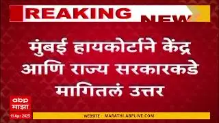 Abu Salem Update : डॉन अबू सालेमची 25 वर्षांची शिक्षा 31 मार्चला पूर्ण?