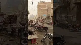 bannu gull
