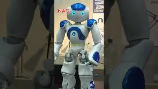 NAO: Personal Robot Teaching Assistant #nao #naorobot #ai #shorts #usa #robot #funny #trending #usa