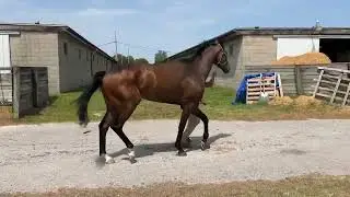 Missouri gent jog 3