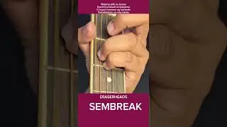 Sembreak | BASIC CHORDS  Tutorial | Edine