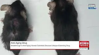 Breakthrough in Anti-Aging: Korean Scientists Discover Lifespan-Extending Drug