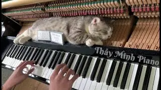 Piano Woogie Boogie Massages for Meow