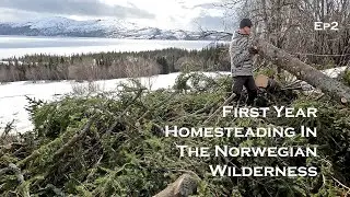 Our First Year Homesteading in the Norwegian Wilderness | Ep2 |