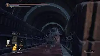 DARK SOULS 3 How to open the 2 doors at cleansing chapel then how to get to Rosaria's bonfire