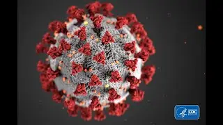 Corona Virus Cartoon Covid-19 (Facts)