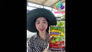THUỐC EIFELGOLD 215WP &ndash; TH&Aacute;N THƯ, ĐỐM L&Aacute;, KH&Ocirc; QUẢ  QUA C&Aacute;CH PHUN TRỰC TIẾP TR&Ecirc;N L&Aacute; - 0345378839