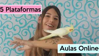 05 Plataformas gratuitas para aulas online (ao vivo)I Você só dá aula?