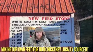 Using locally sourced feed to OVERCOME the issue with BigBoxStore feed| Mix your own Chicken Feed