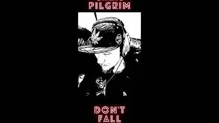Chris Pilgrim  - Don't Fall