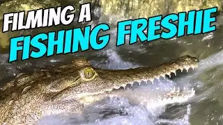 🐊 𝗘𝗩𝗘𝗥 𝗦𝗘𝗘𝗡 𝗔 𝗙𝗜𝗦𝗛𝗜𝗡𝗚 𝗙𝗥𝗘𝗦𝗛𝗜𝗘?