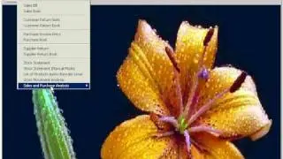 HiTech Financial Accounting for Petrol Pumps - Accounting Software