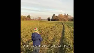 Syrphus-Airframe/ The Ease of Flying