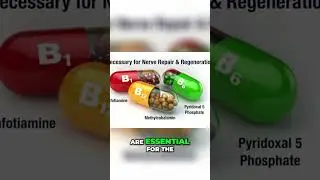 Vital Nutrients for Nerve Damage Recovery: The Essential B Vitamins