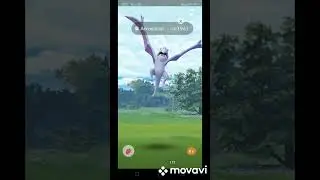 Defeating Mega-Aerodactyl Raid in Pokemon Go