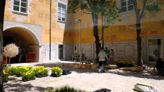Habemus papus - TempsdeFlors 2012
