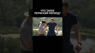 ЧТО ТАКОЕ ПЕРМСКИЙ ПЕРИОД?