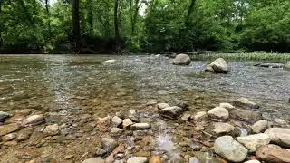 Nature Sounds - Light Running Creek Water