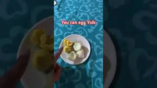 Egg during Fever