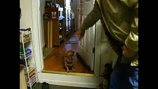2016_10-28 Johnny & Helen Walker and their dog 0305