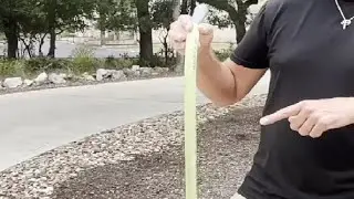 REAL Review of Flexzilla Garden Hose