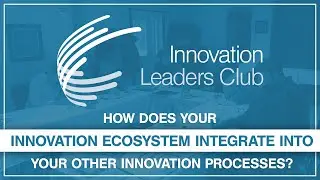 How does your innovation ecosystem integrate into your other innovation processes?