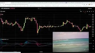 Dogecoin Mon 5-22