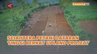Highland Farmers Prosper Thanks to the Upland Project | ANTARANEWS Features