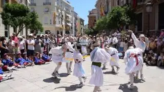 dansa de les vetes