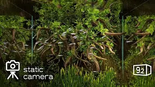 Aquaplanet-9.2 &bull; Static camera | Nature sounds | Screensaver