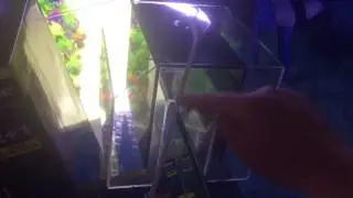 How you can have a sump with no holes drilled in your tank