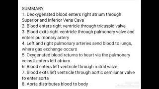 Blood Circulation in 2 minutes @8 points/Creative commons (Re use allowed)