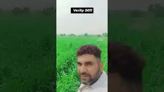 ##### vane Farming 5011