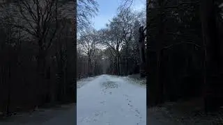Sneeuw in 't Corversbos - #wandelen #nature #sneeuwpret #sneeuw #sneeuwval #corversbos