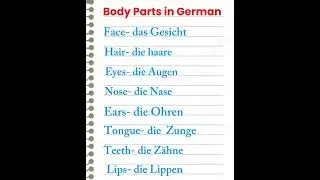 Body parts [part 2]/ facial parts in German #germanlearning #languagelearner #basicgerman