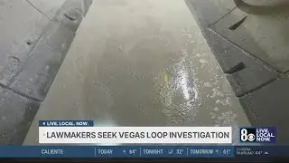 Nevada democratic lawmakers push for Boring Co., governor investigation