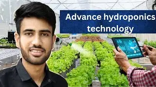 Green Lettuce farming #hydroponics #gardening #agrifuture #nft 