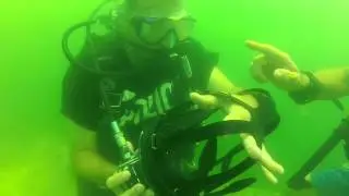 PADI Full Face Mask Distinctive Specialty Skills Dive #1